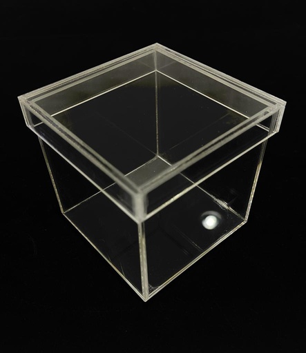 Acrylic dispenser box with lid with edges, 5.5 cm³